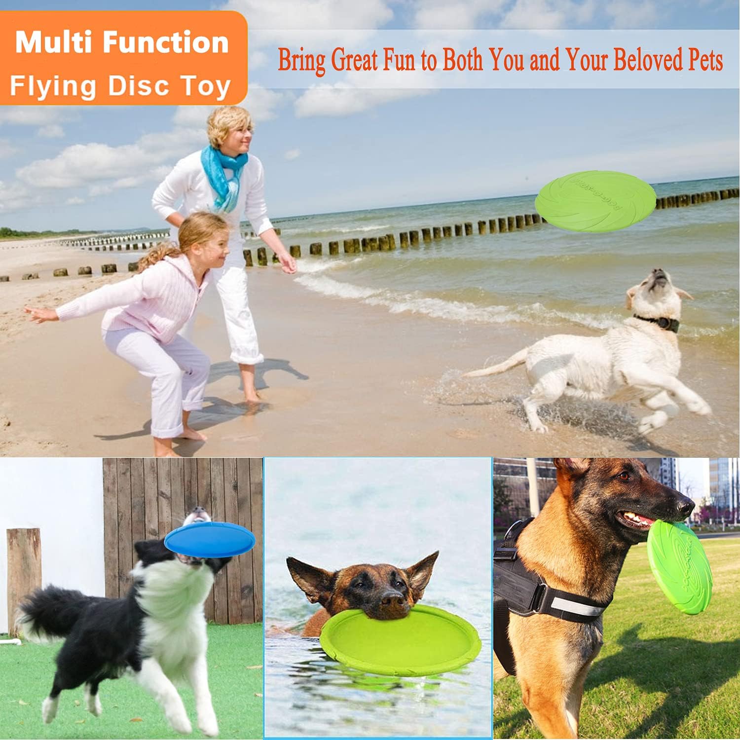 Woman and dog playing with a green flying disc on a beach, with additional images of dogs with different colored discs.